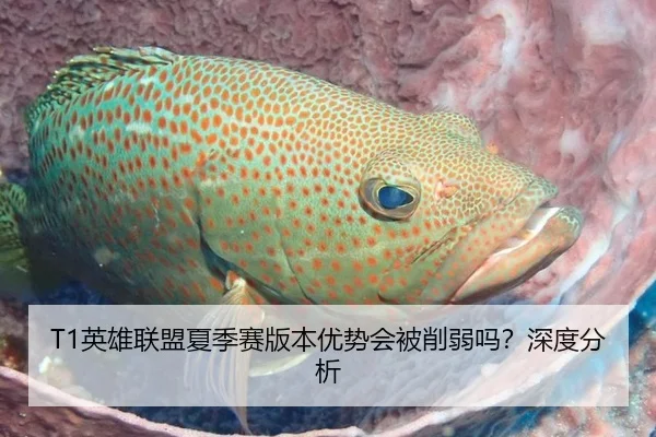 T1英雄联盟夏季赛版本优势会被削弱吗?深度分析